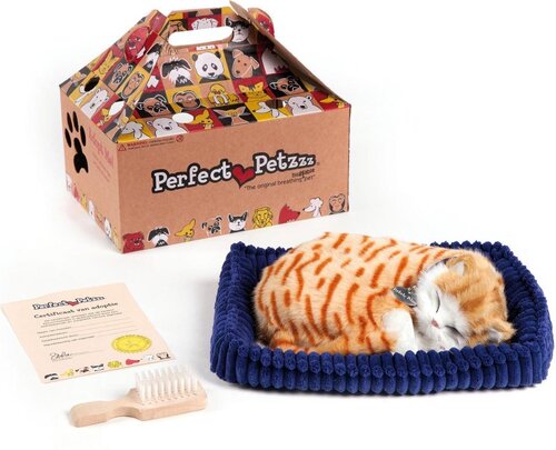 Perfect Petzzz - Soft Oranje Kat
