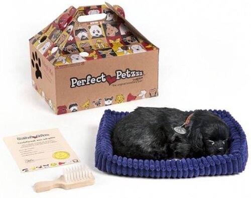 Perfect Petzzz - Soft Zwarte Labrador