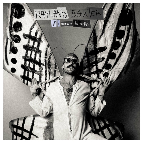 Rayland Baxter - If I Were A Butterfly (LP)