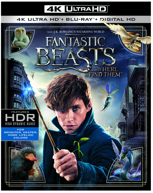 Fantastic Beasts And Where To Find Them (4K Ultra HD En Blu-Ray)
