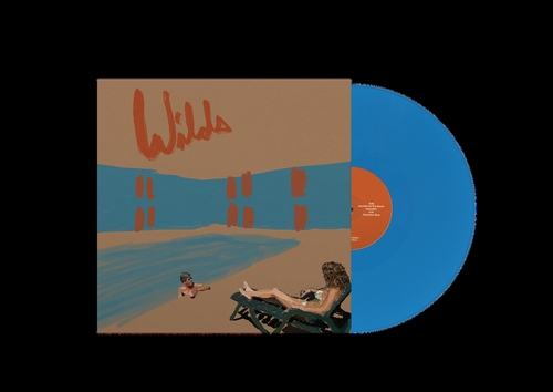 Andy Shauf - Wilds (LP)