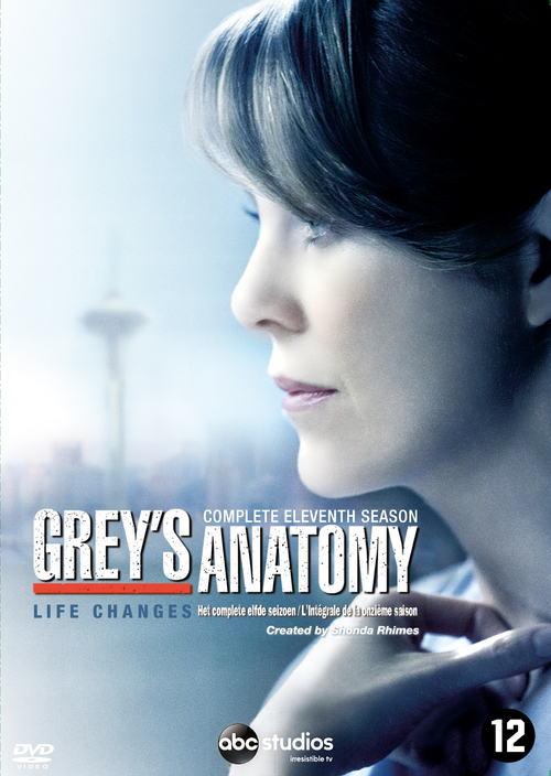Grey's Anatomy Seizoen 11