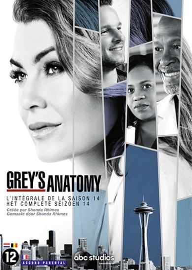 Grey's Anatomy Seizoen 14