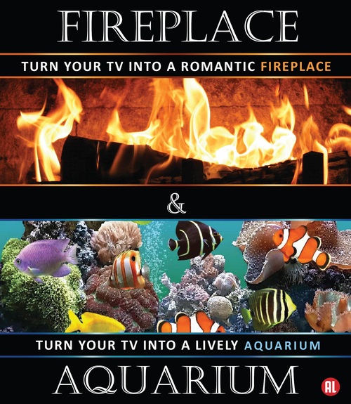 Fireplace & Aquarium