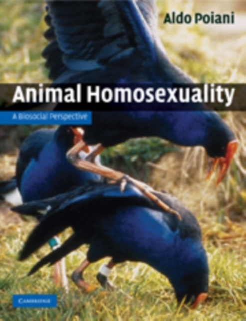 Animal Homosexuality - Aldo Poiani