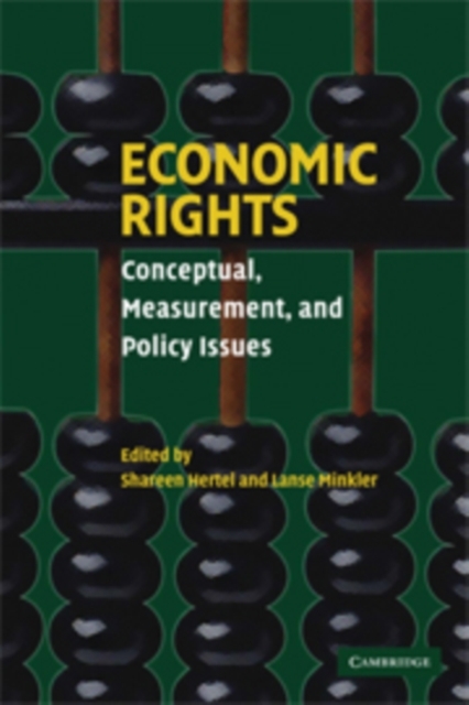 Economic Rights - Lanse Minkler, Shareen Hertel