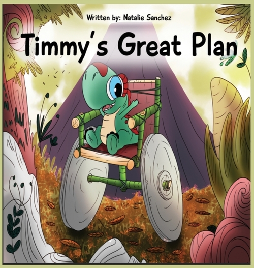 Timmy's Great Plan