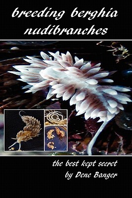 Breeding Berghia Nudibranches the best kept secret