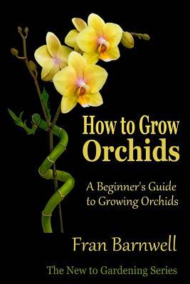 How to Grow Orchids: A Beginner's Guide to Growing Orchids