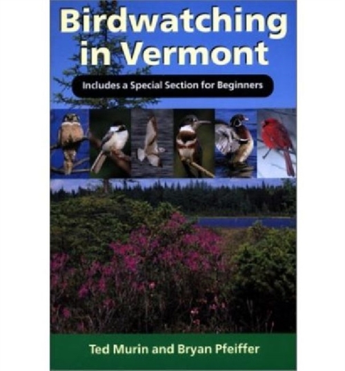 Birdwatching in Vermont - Bryan Pfeiffer, Ted Murin