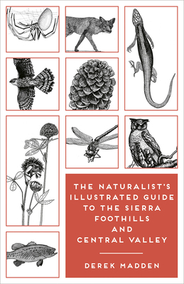 The Naturalist's Illustrated Guide to the Sierra Foothills and Central Valley
