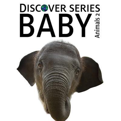 Baby Animals 2: Discover Series Picture Book for Children