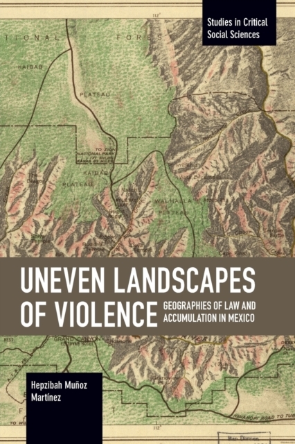 Uneven Landscapes of Violence