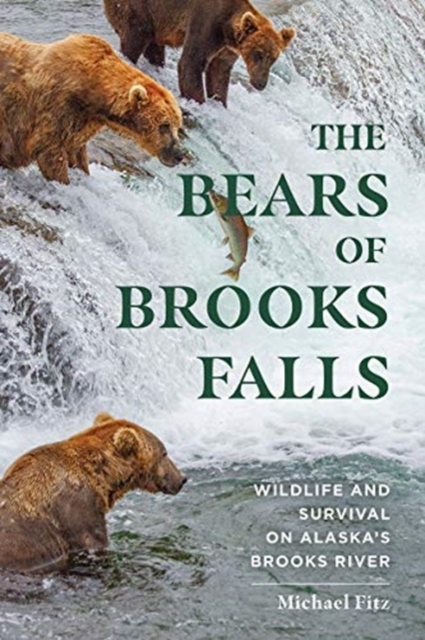 The Bears of Brooks Falls