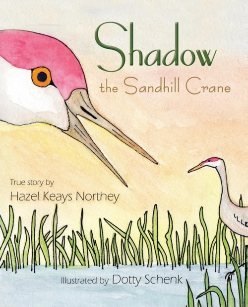 Shadow the Sandhill Crane