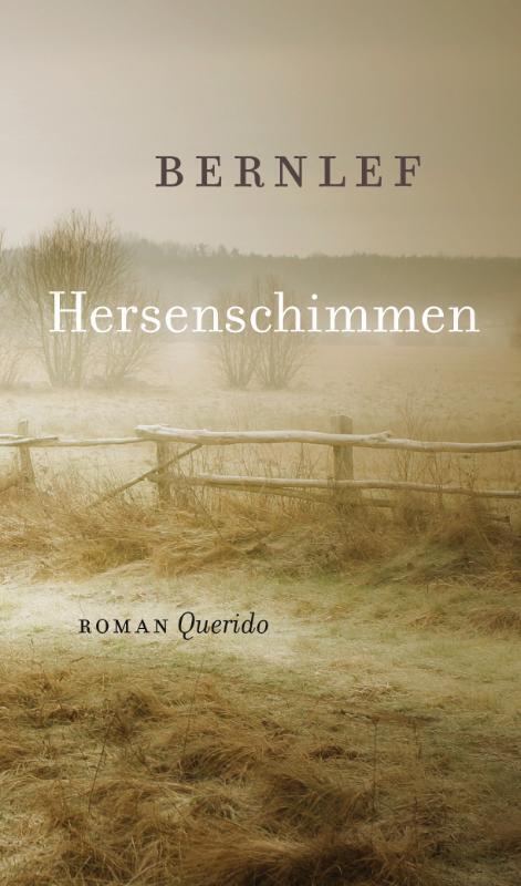 Hersenschimmen - Bernlef