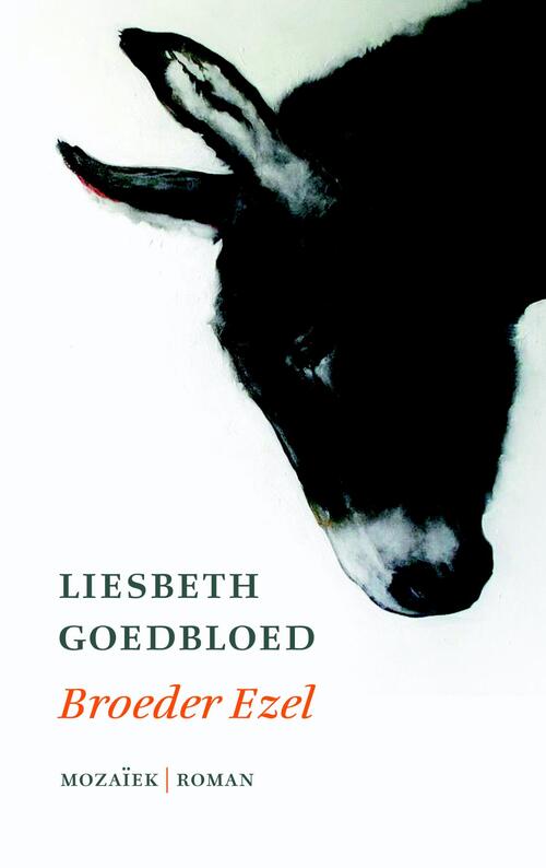 Broeder ezel - Liesbeth Goedbloed