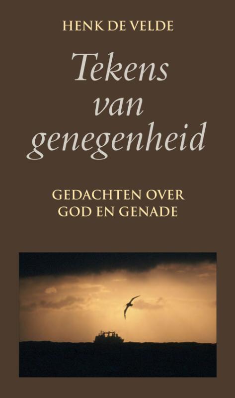 Tekens van genegenheid - Henk de Velde - eBook (9789038921891)