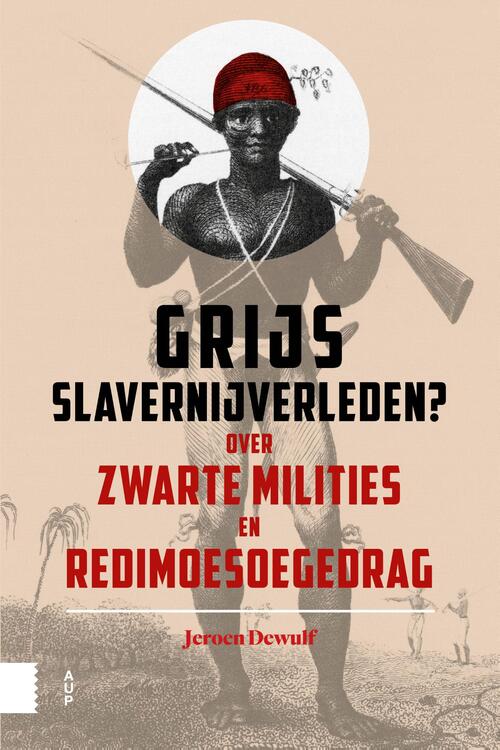 Grijs slavernijverleden? - Jeroen Dewulf - eBook (9789048539949)