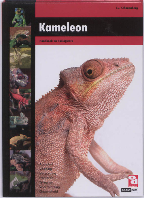 Kameleon - F.J. Schonenberg