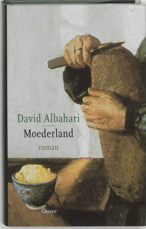 Moederland - David Albahari