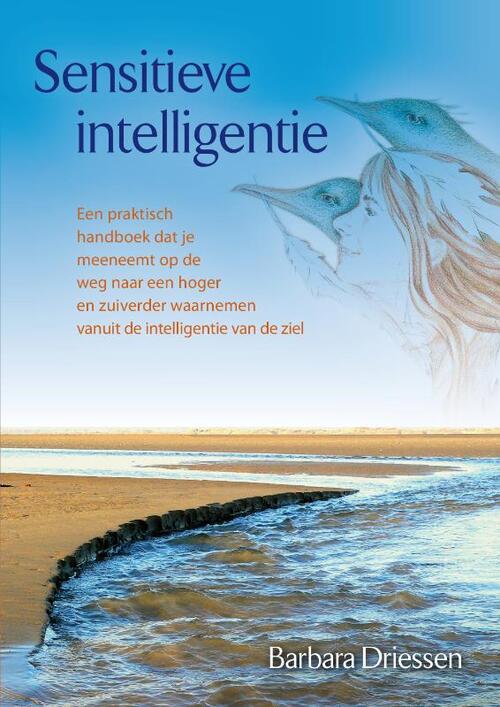 Sensitieve intelligentie - B. Driessen