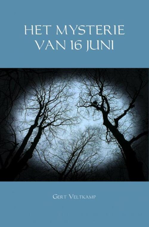 Het Mysterie van 16 Juni - Gert Veltkamp - eBook (9789402195286)