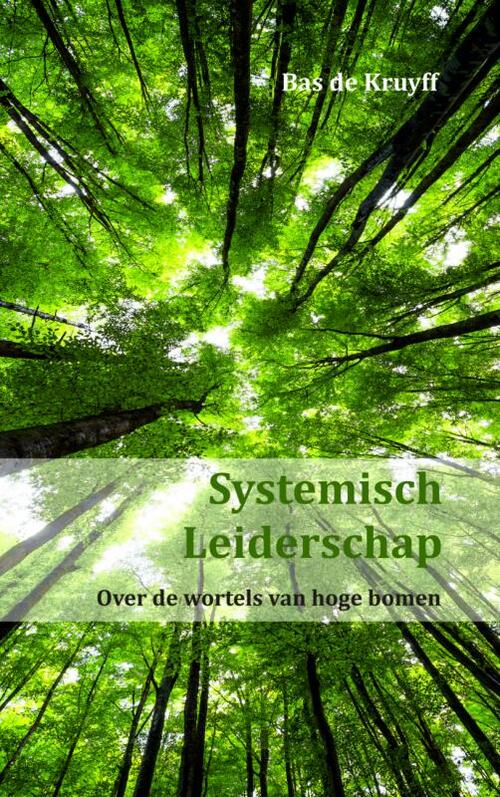 Systemisch leiderschap - Bas de Kruyff - eBook (9789462544017)