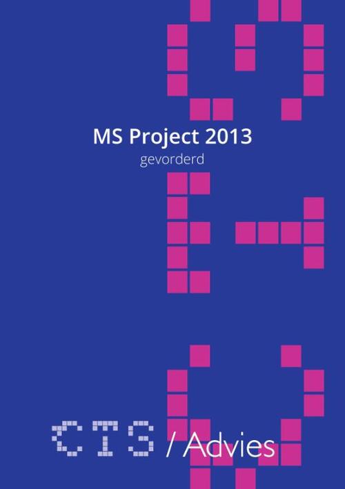 MS Project 2010-2013 Gevorderd - Charles Scheublin