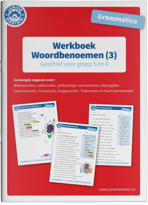 Werkboek Woordbenoemen - Paperback (9789493128156)