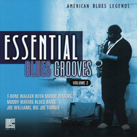 Essential Blues Groove Volume 2