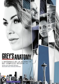 Grey's Anatomy - Seizoen 14