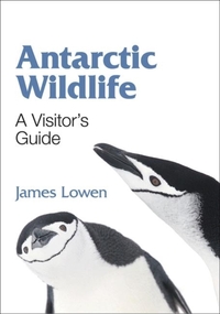 Antarctic Wildlife