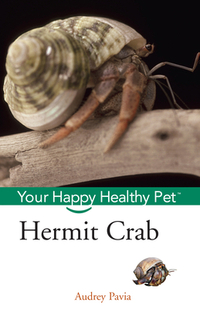 Hermit Crab: Your Happy Healthy Pet