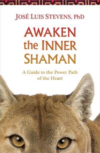 Awaken The Inner Shaman