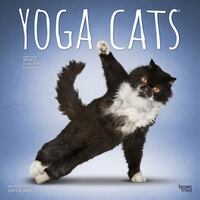 Yoga Cats 2023 Square Calendar